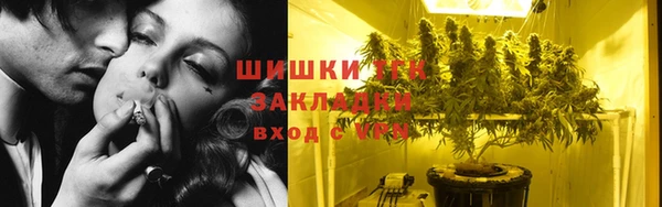 ПСИЛОЦИБИНОВЫЕ ГРИБЫ Алексин