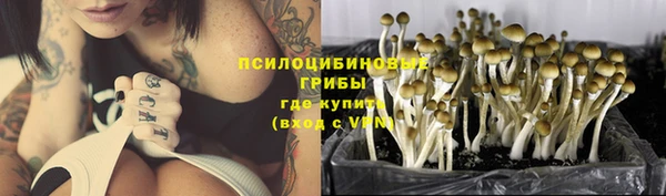 ПСИЛОЦИБИНОВЫЕ ГРИБЫ Алексин