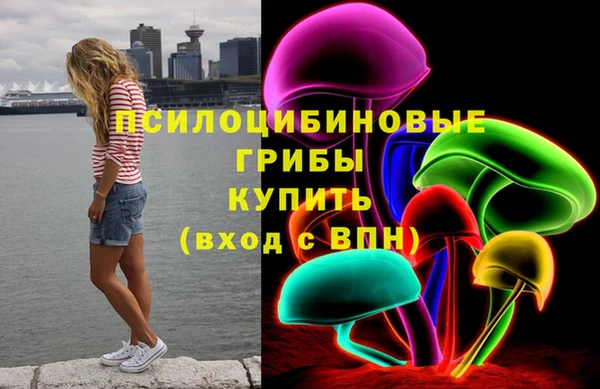 ПСИЛОЦИБИНОВЫЕ ГРИБЫ Алексин