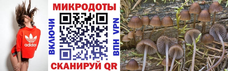Псилоцибиновые грибы прущие грибы  Нюрба 